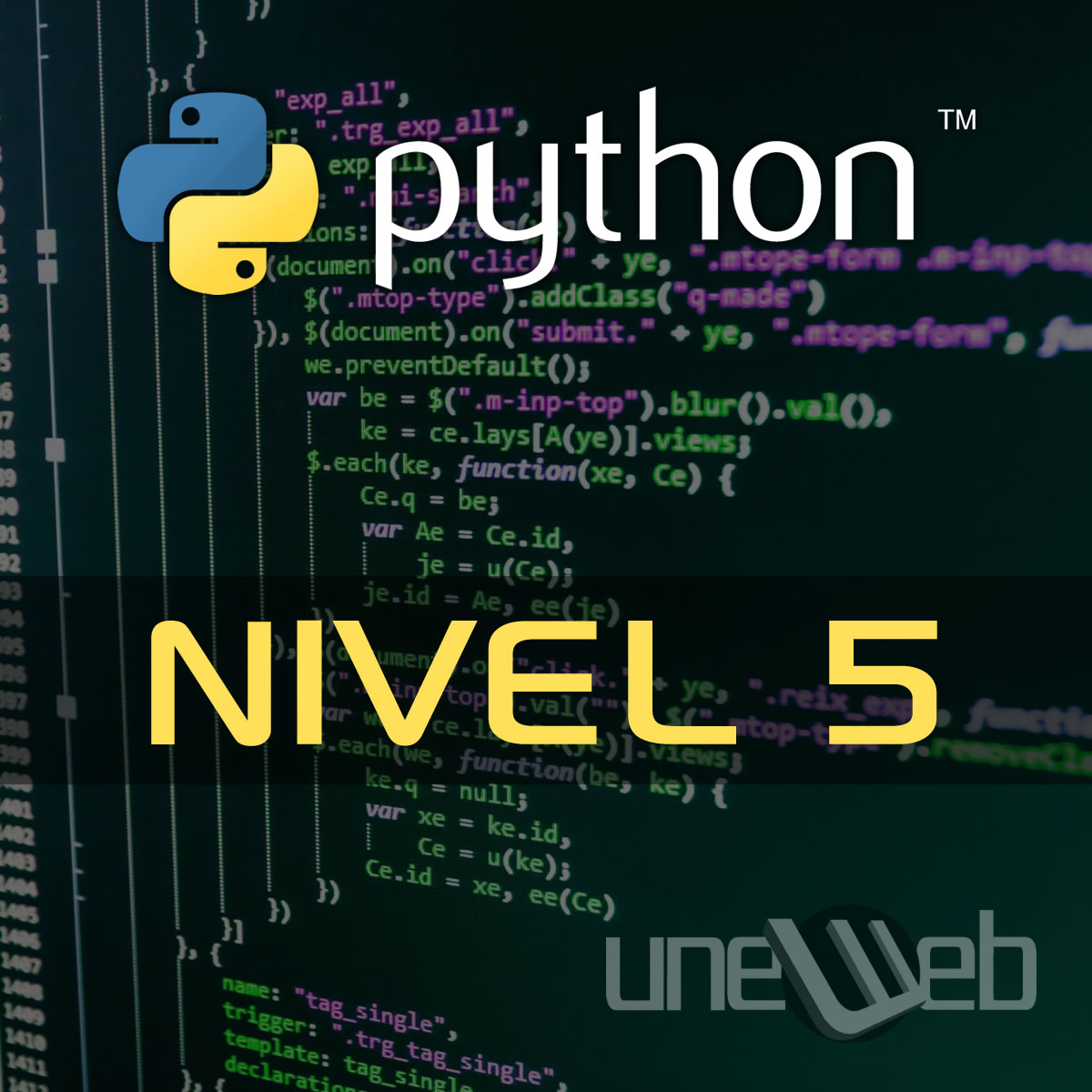 Course Image python nivel 5